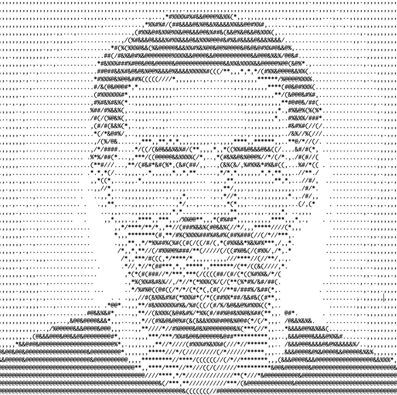 Jesse Koolhaas